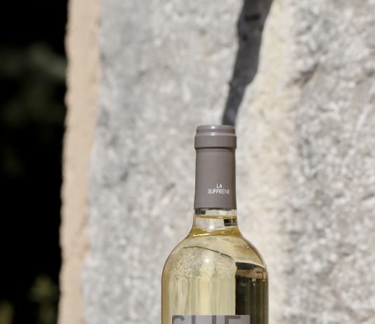 Pourquoi vin rouge ou vin blanc ?